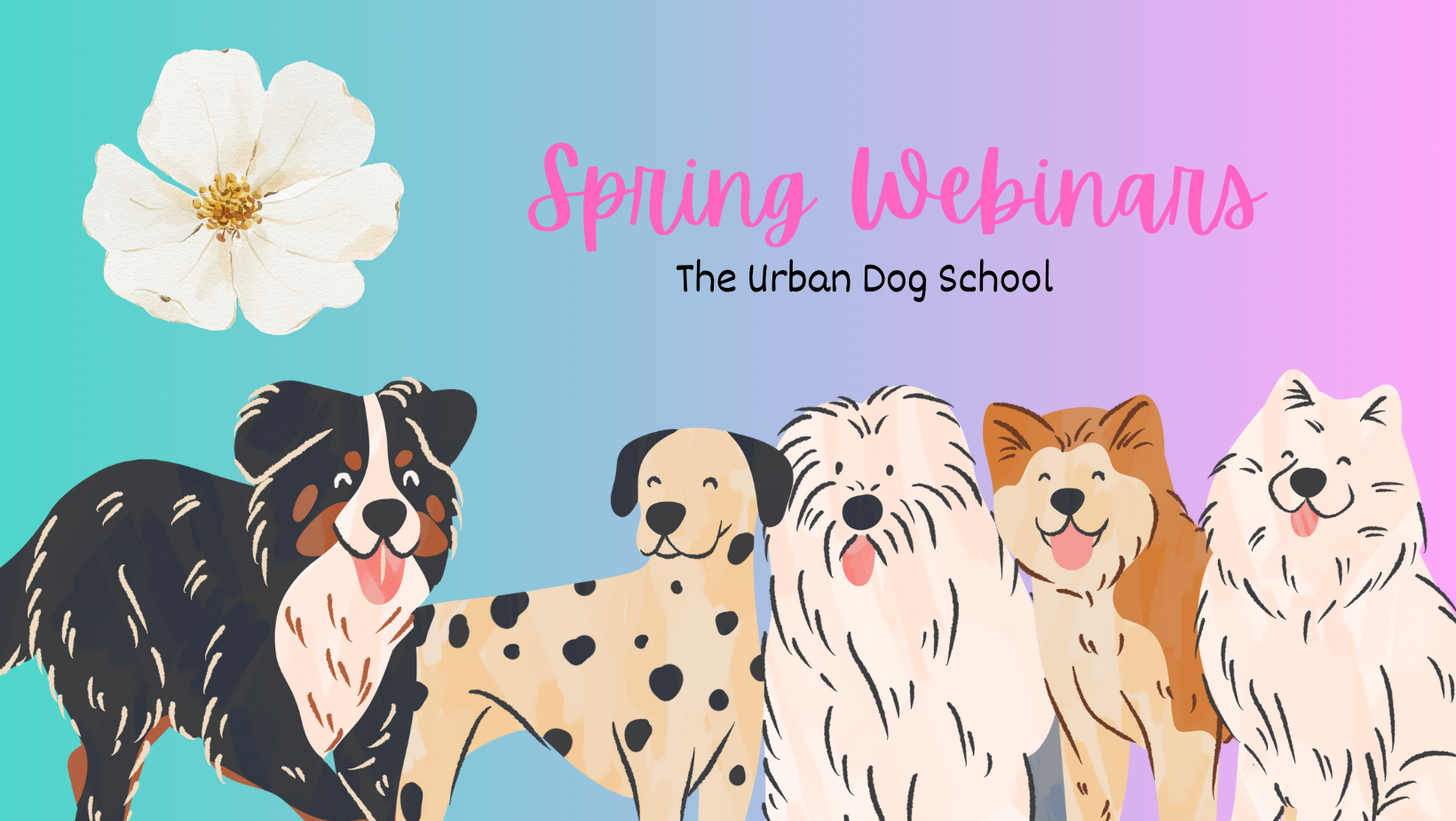 Email Banner - Spring Webinar